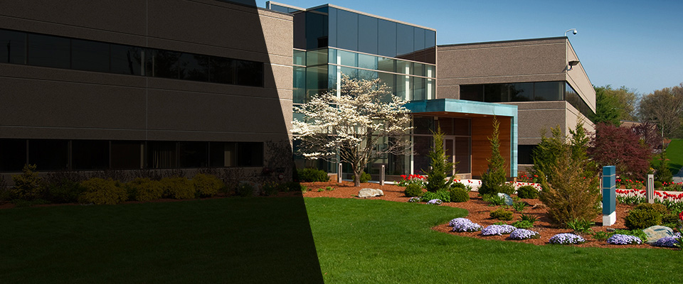 New Market Landscapers