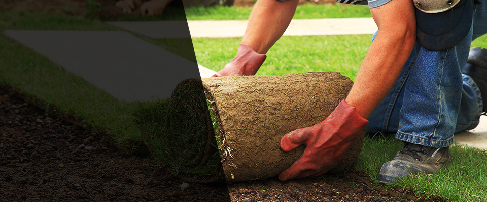 New Market Landscapers